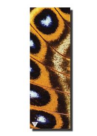 Yune Yoga Mat (Color/Pattern: Butterfly 5mm)